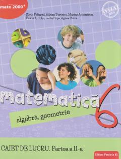 Matematica. Caiet de lucru. Clasa a VI-a. Consolidare si aprofundare. Partea a II-a