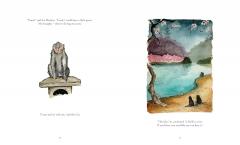 The Cat Who Taught Zen