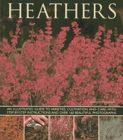 Coperta cărții Heathers