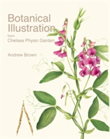 Botanical Illustration from Chelsea Physic Garden