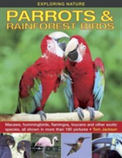 Exploring Nature: Parrots & Rainforest Birds