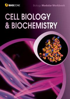 Cell Biology & Biochemistry Modular Workbook