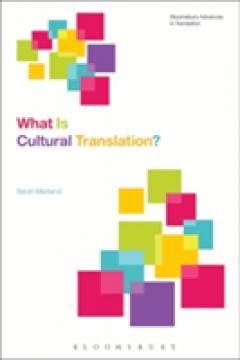 What Is Cultural Translation?