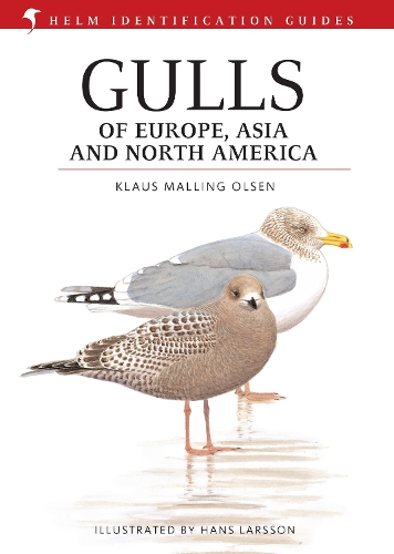 洋書 Gulls of Europe, Asia and North America Gulls of Europe, Asia and North America - Klaus Malling Olsen