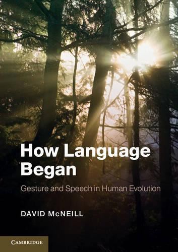 How Did Language First Develop How Language Began - David (University of Chicago) McNeill