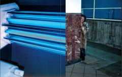 Cyborg Dolphin Tears