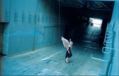 Cyborg Dolphin Tears