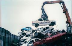 Cyborg Dolphin Tears