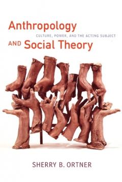 Coperta cărții Anthropology and Social Theory