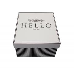 Cutie pentru cadou - Alice Scott - Hello Penny Kennedy