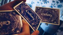 Carti de joc - Cardistry Calligraphy, Blue