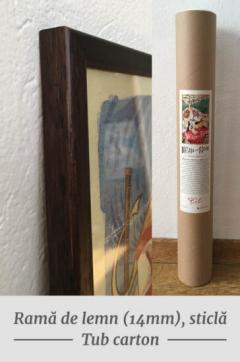 Poster inramat - Viteza pe Bega