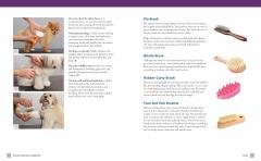 Dog Grooming for Beginners