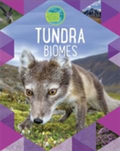 Earth's Natural Biomes: Tundra