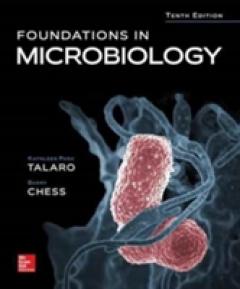 Foundations in Microbiology