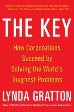 The Key: How Corporations Succeed by Solving the World's Toughest Problems