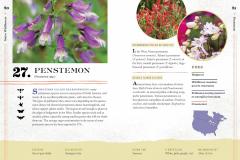 100 Plants to Feed the Bees