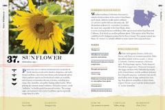 100 Plants to Feed the Bees