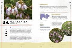 100 Plants to Feed the Bees