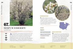 100 Plants to Feed the Bees