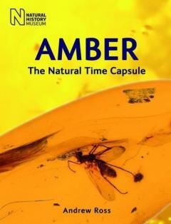 Coperta cărții Amber