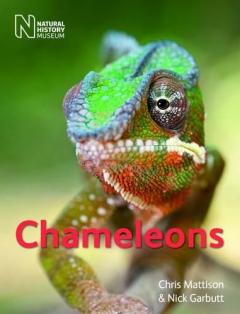 Coperta cărții Chameleons