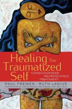Coperta cărții Healing the Traumatized Self