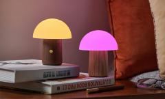  Lampa - Mini Alice Mushroom Lamp - Walnut