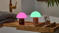  Lampa - Mini Alice Mushroom Lamp - Walnut