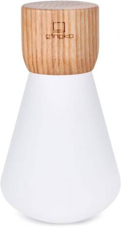 Lampa - Mini - Pentagon Desk Bulb - White Ash