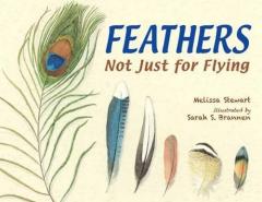 Coperta cărții Feathers