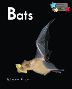 Coperta cărții Bats