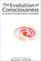 The Evolution of Consciousness