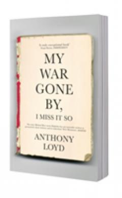 My War Gone by, I Miss it So