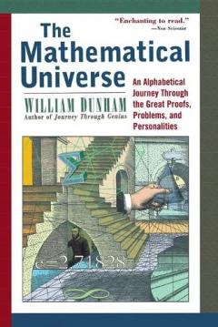 The Mathematical Universe