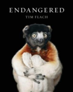 Endangered