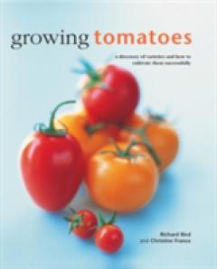 Coperta cărții Growing Tomatoes