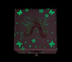 Cutie muzicala - Balerina Roz