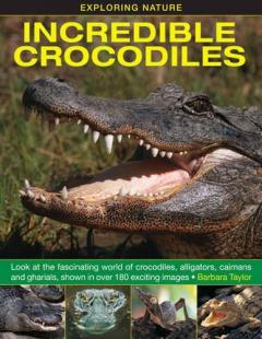 Coperta cărții Exploring Nature: Incredible Crocodiles