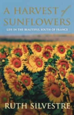 A Harvest of Sunflowers