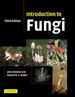 Coperta cărții Introduction to Fungi