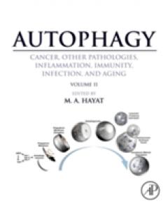 Autophagy: Cancer, Other Pathologies, Inflammation, Immunity, Infection, and Aging