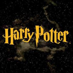Harry Potter Und Der Feuerkelch