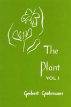 The Plant