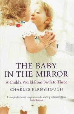Coperta cărții Baby in the Mirror