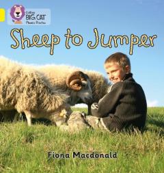 Coperta cărții Sheep to Jumper