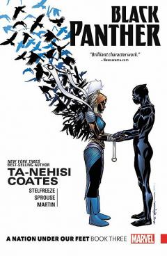 Black Panther by Ta-Nehisi Coates - Book 3