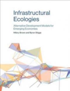 Infrastructural Ecologies