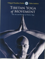 Tibetan Yoga Of Movement
