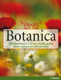 Botanica